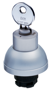 RSS/RST - Sélecteur à clé