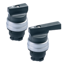 EW - Interruptor selector con retorno por muelle