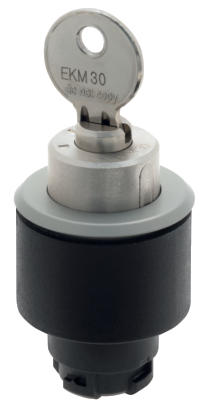 ES.V sleutelkeuzeschakelaars